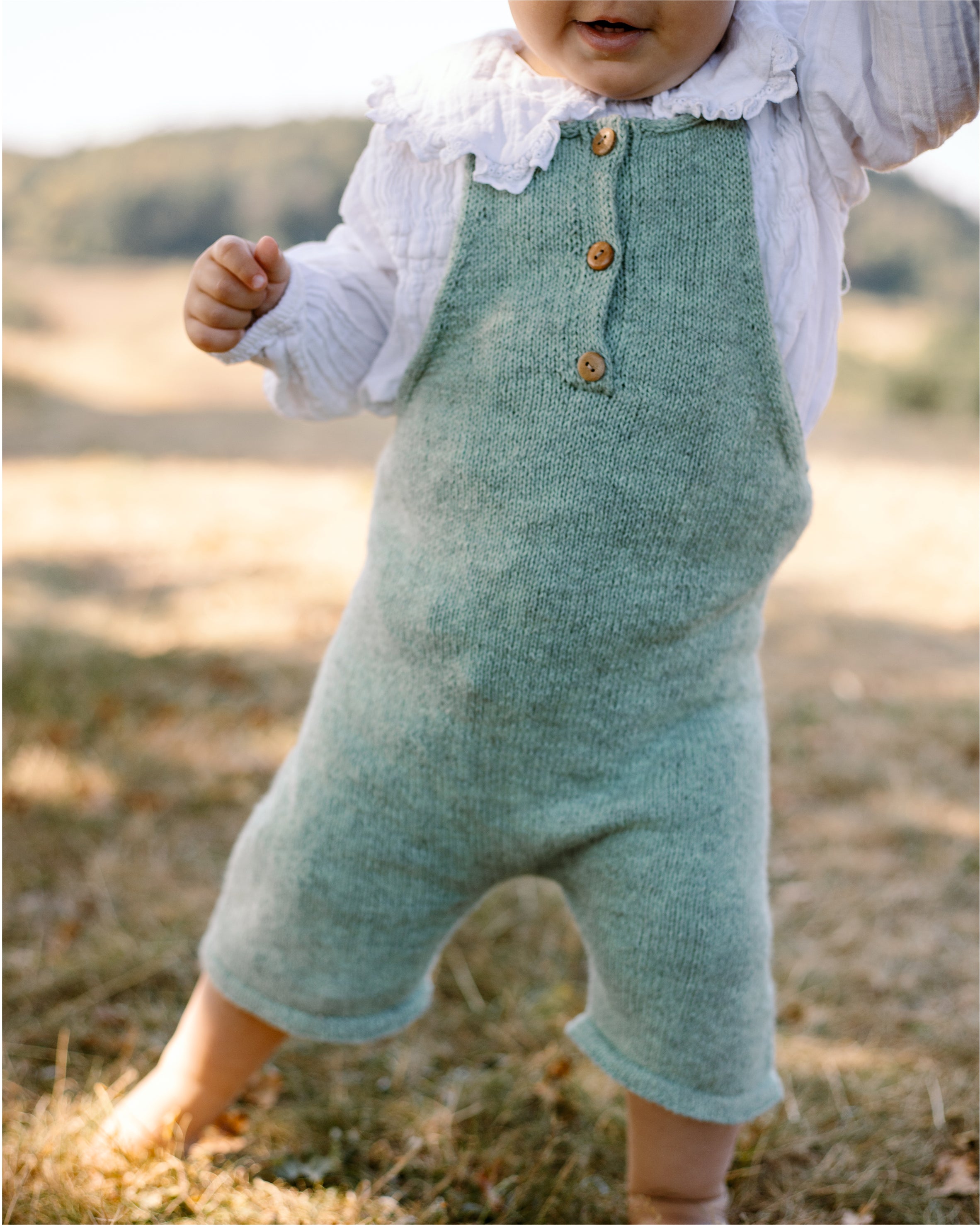 Quietbuttonromper Row Checkliste